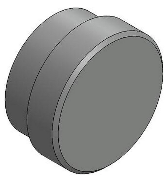 Cap Assembly Insert